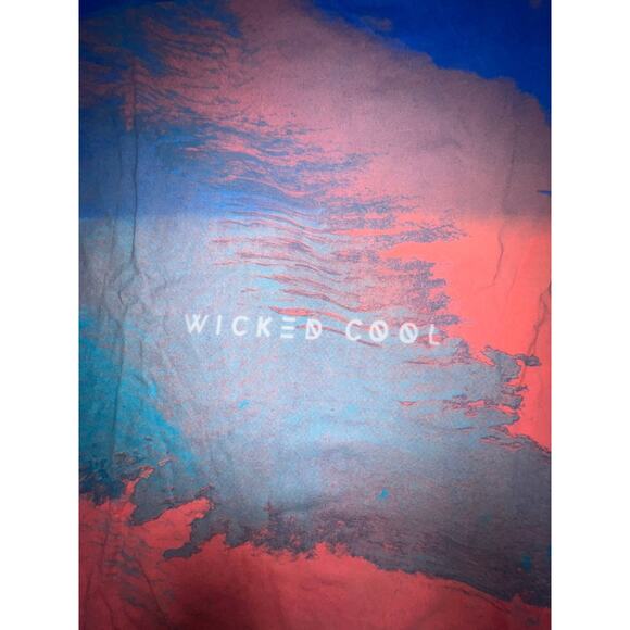 American Eagle Wicked Cool Tee Men L EUC - Picture 2 of 4